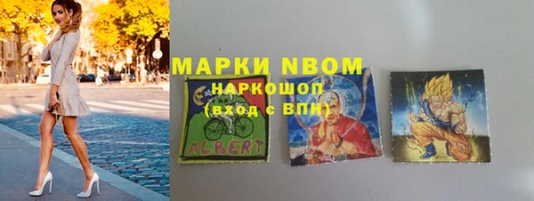 шишки Заводоуковск
