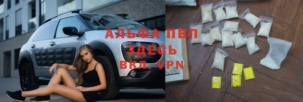 шишки Заводоуковск