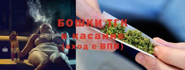 шишки Заводоуковск