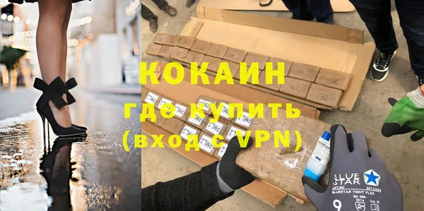 шишки Заводоуковск