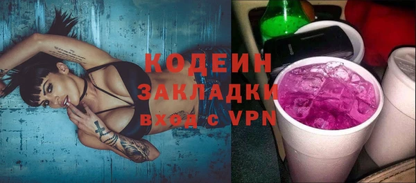 шишки Заводоуковск