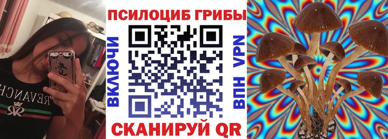 Псилоцибиновые грибы Magic Shrooms  Купить закладки  Урай 